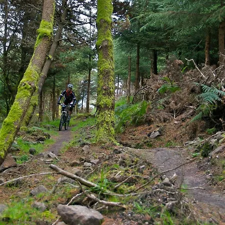 The Old Bank Family Town House Affittacamere 4*