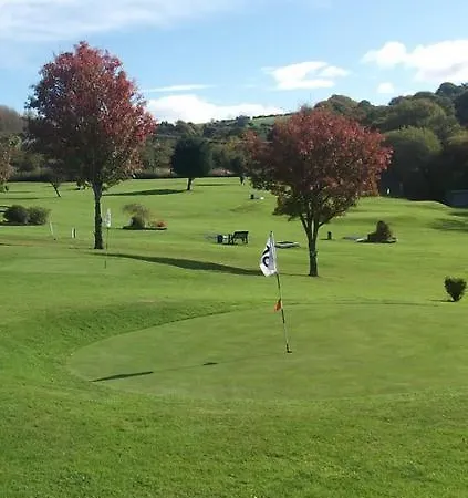 The Old Bank Family Town House Гостевой дом Bruff