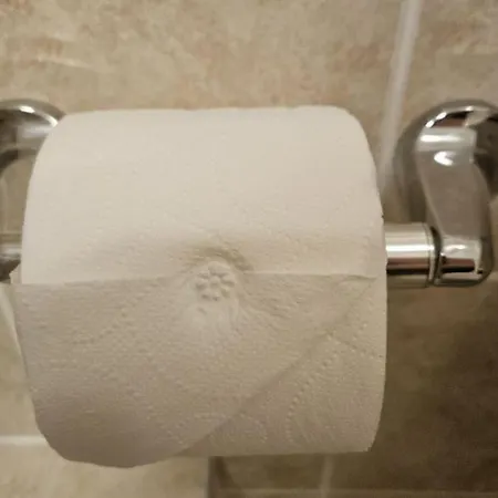 Гостевой дом The Old Bank Family Town House Bruff