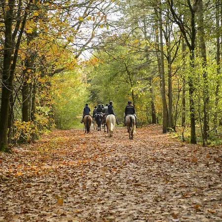 The Old Bank Family Town House Гостевой дом 4*