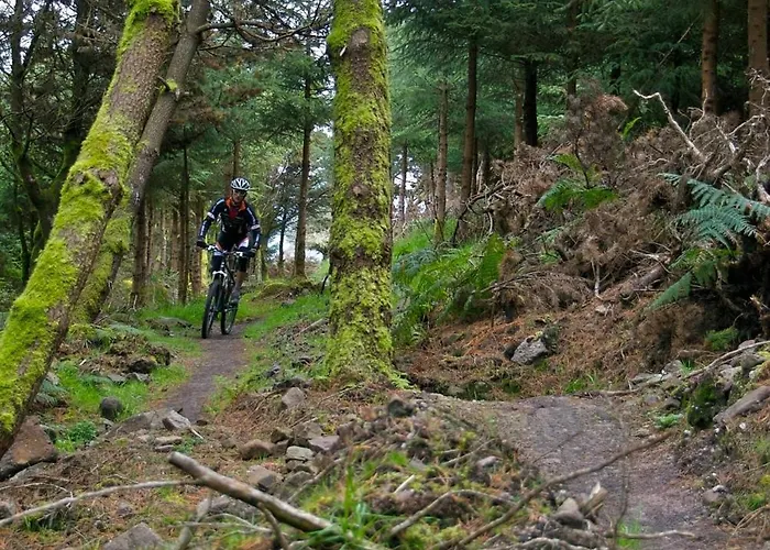 The Old Bank Family Town House Vendégház 4*