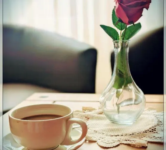 The Old Bank Family Town House Vendégház